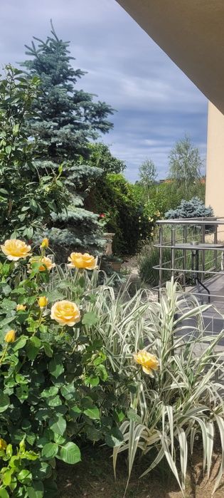 Direct proprietar - apartament 2 camere  cu gradina proprie, parcare privata si acces dublu in zona Dealuri