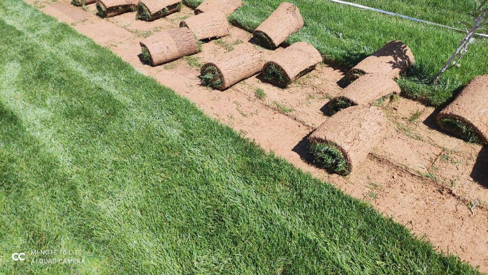 Gazon ekamiz yevro gazon ekamiz