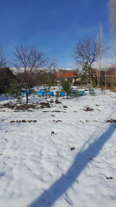 Sijjak qishlog'i 8sotix