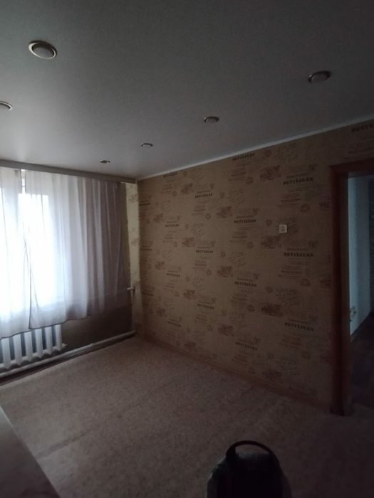 Дом в с.Алексеевка.