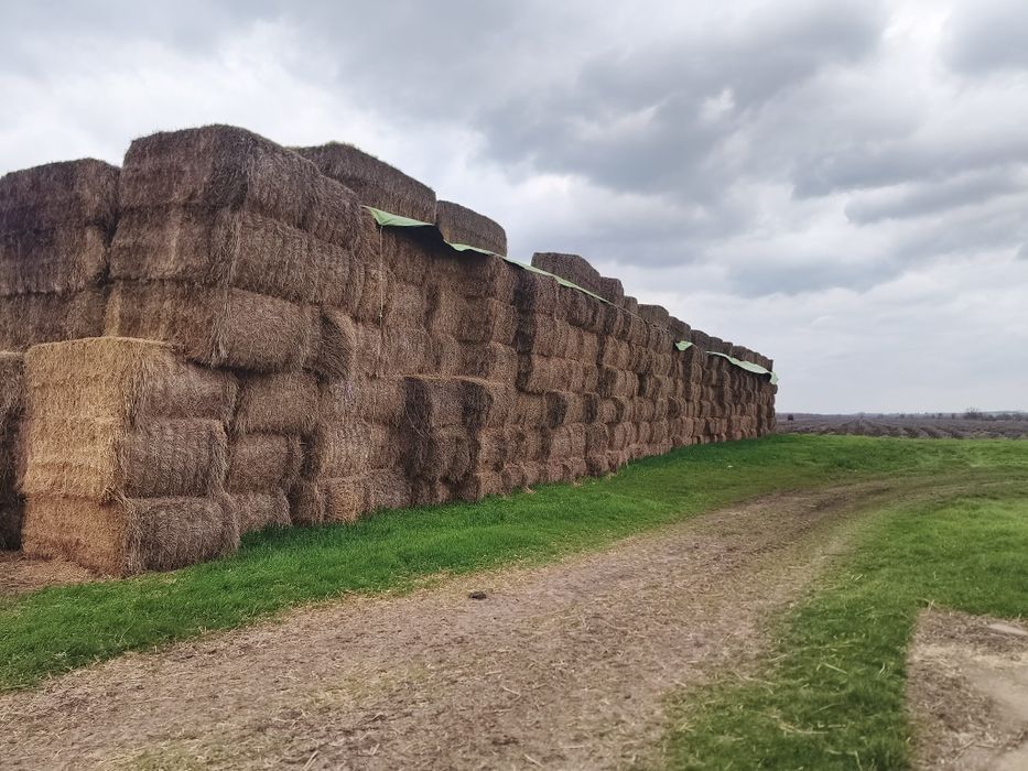 Бали слама ,2.5/0.8/1.2мтр.   500кг/бр