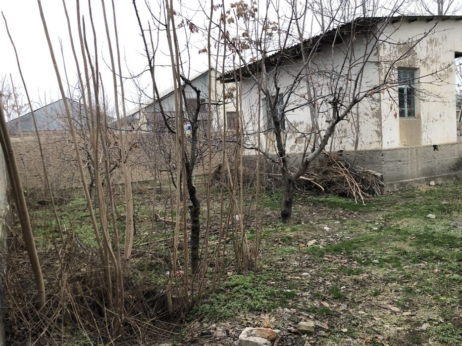 Жума шахрини марказида участка сотилади.  1 сотиги 15 минг доллор