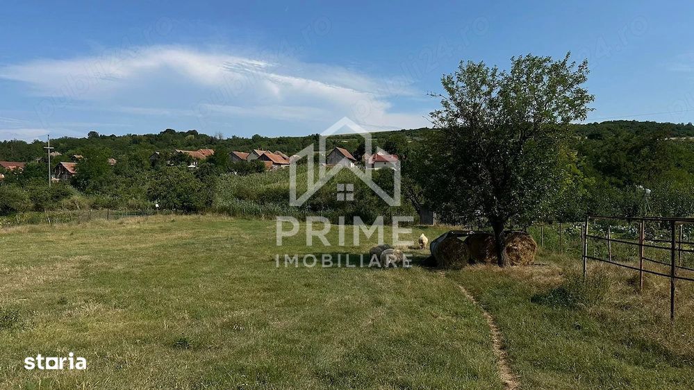 Teren Intravilan 1.600 mp| zona Henig