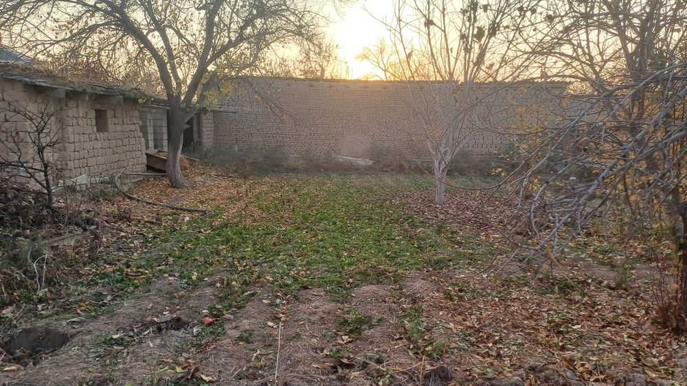 Qurulish uchun yer maydoni sotuvga qo'yilgan