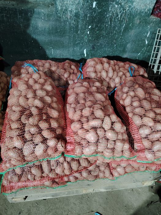 Cartofi de consum 2 lei/kg