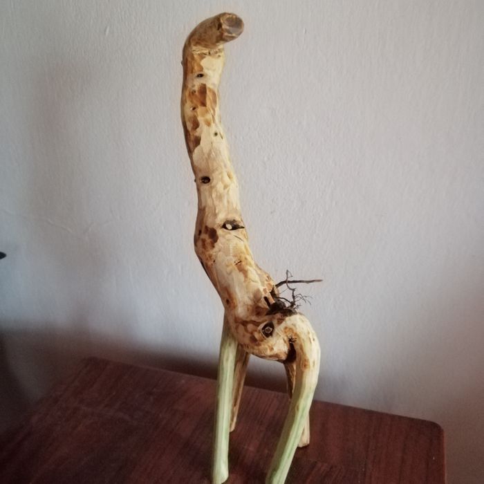 Girafă - rădăcină de mur