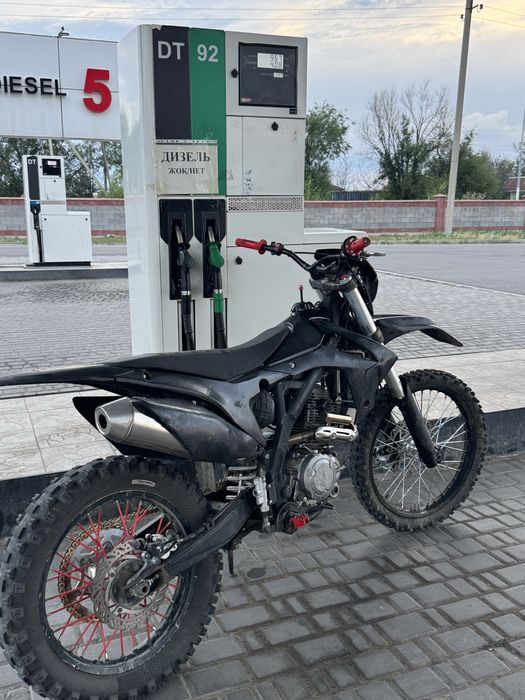 Xinguizin shr 300
