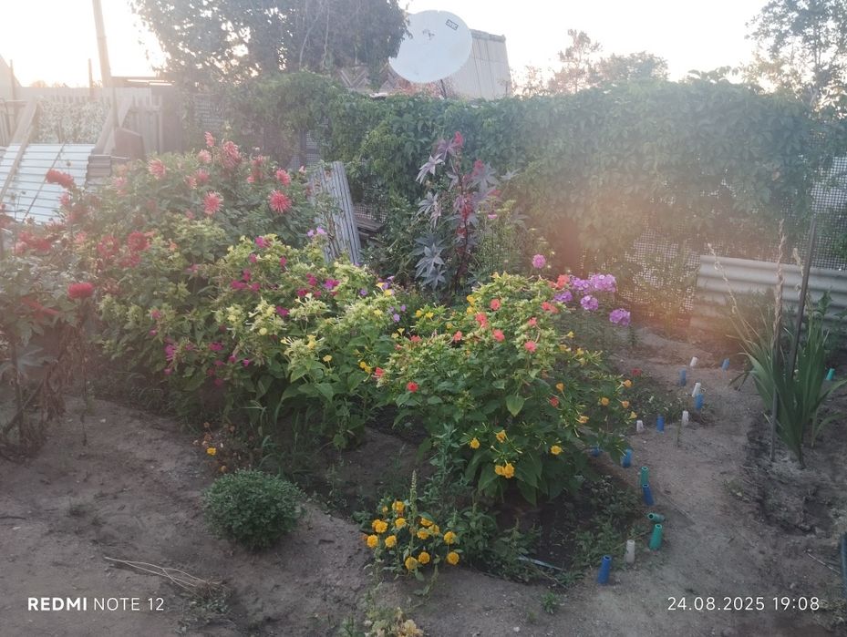 Продам дачу ПК автомобилист