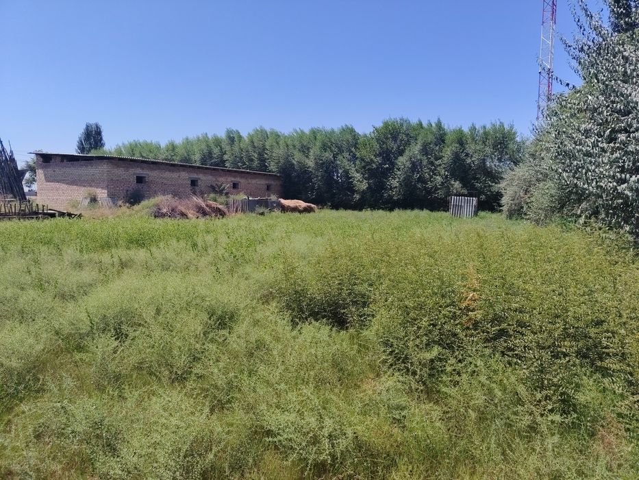 30 sotix yer + bino sotiladi. Narx kelishiladi.