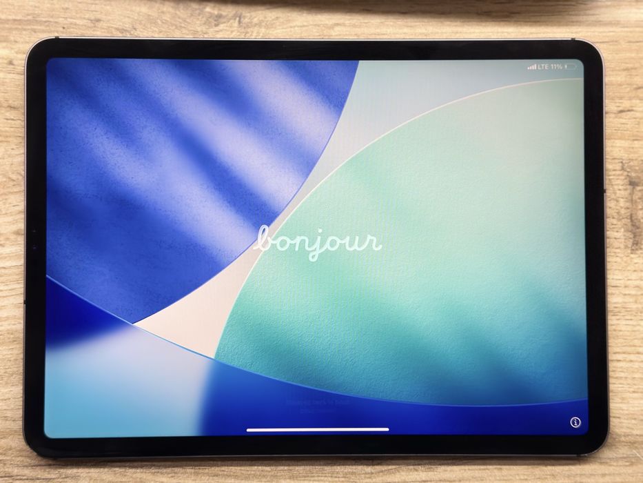 iPad Pro 11 - 256 GB Wi-Fi + Cellular