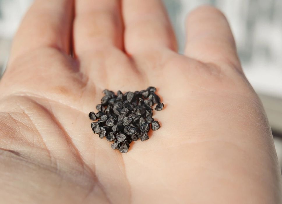 Продам семена лука