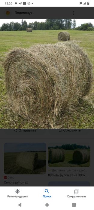 Продам сено в рулонах!