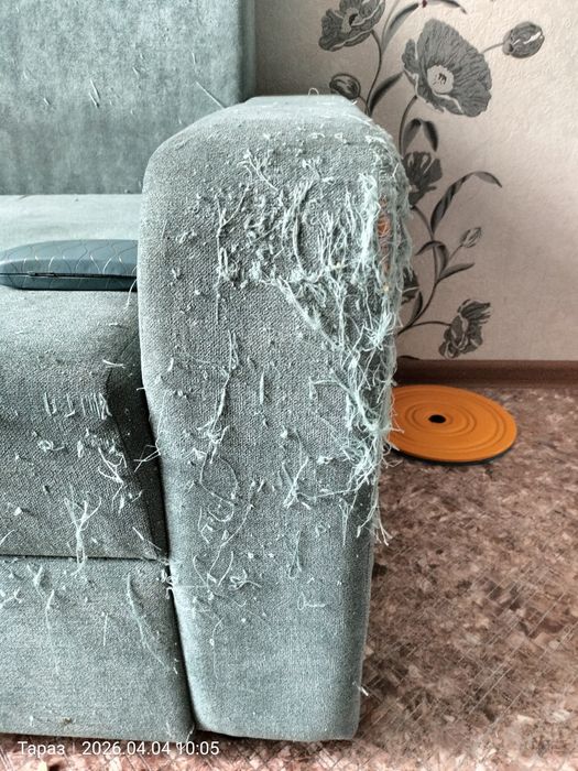 диван бу.- мысык тырнап тастаган