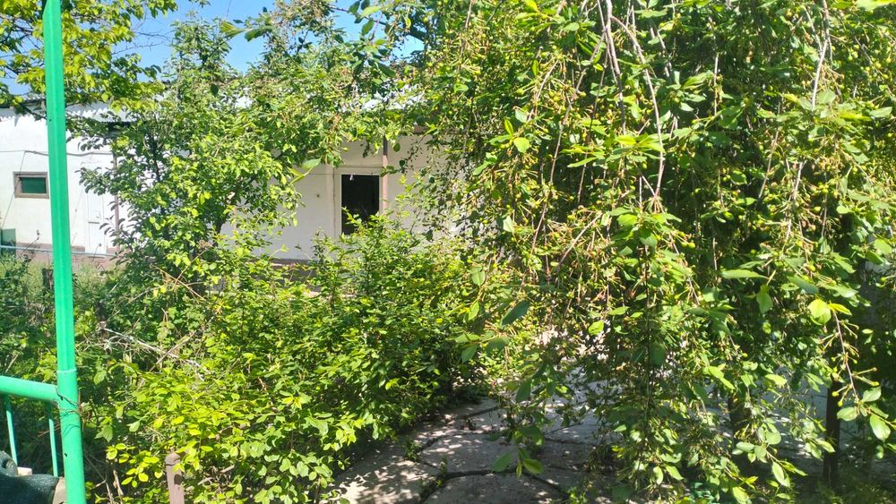 Кенен Азербаева дом проспект Жамбыла