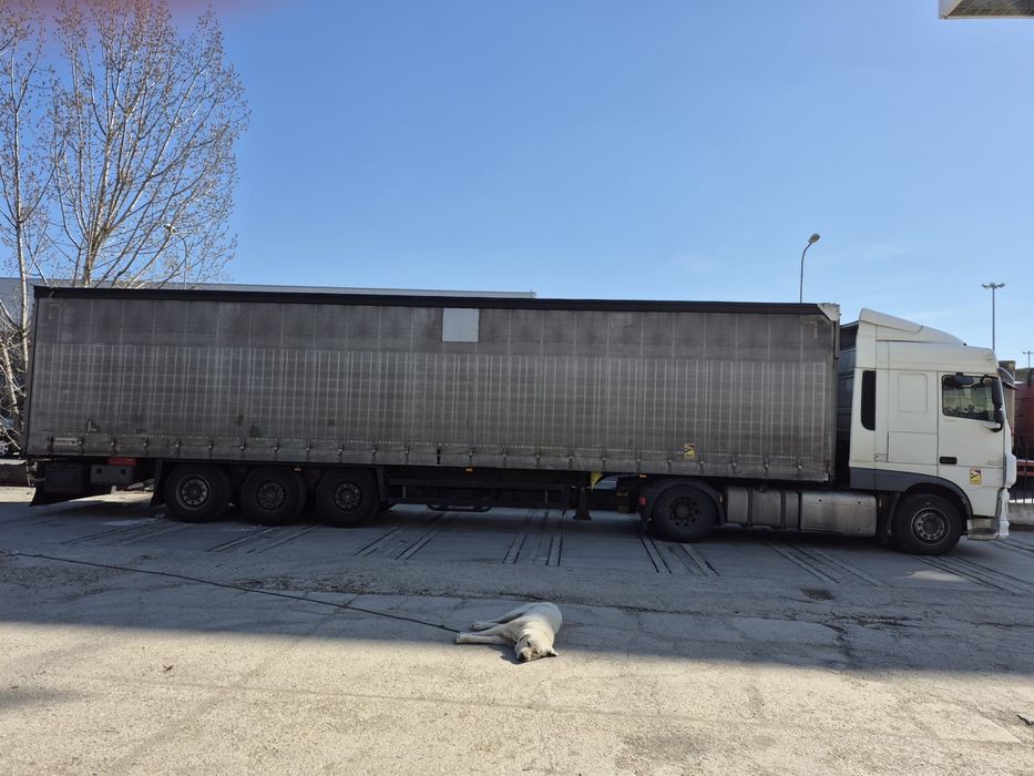 Camion/Camioane schimb utilaje constructii.