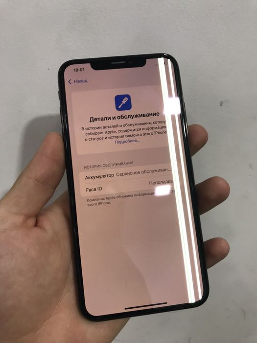 Xs max 64gb rodnoy