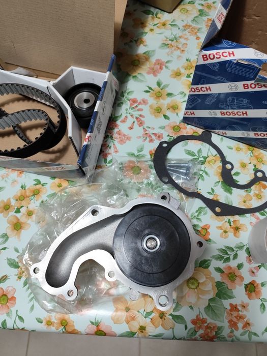 Ford focus Curea set  distributie