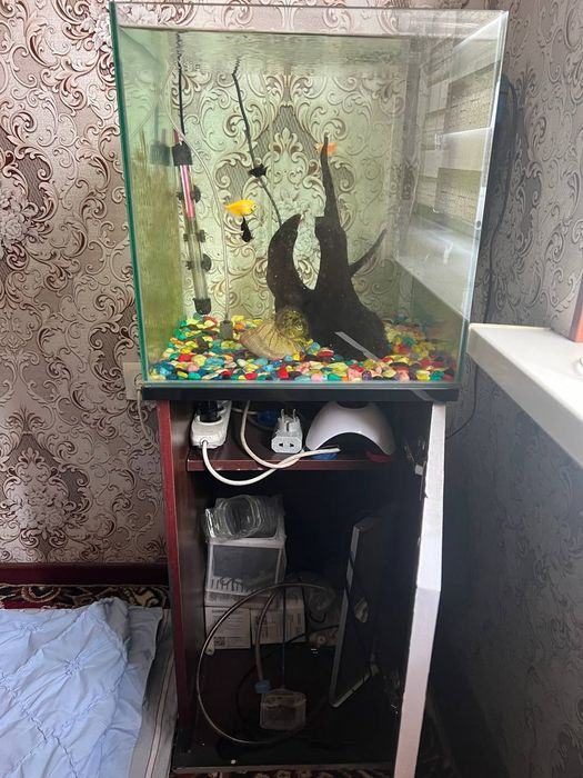 Балик аквариум поставка филтр общий комплект 5 балик билан срочно соти