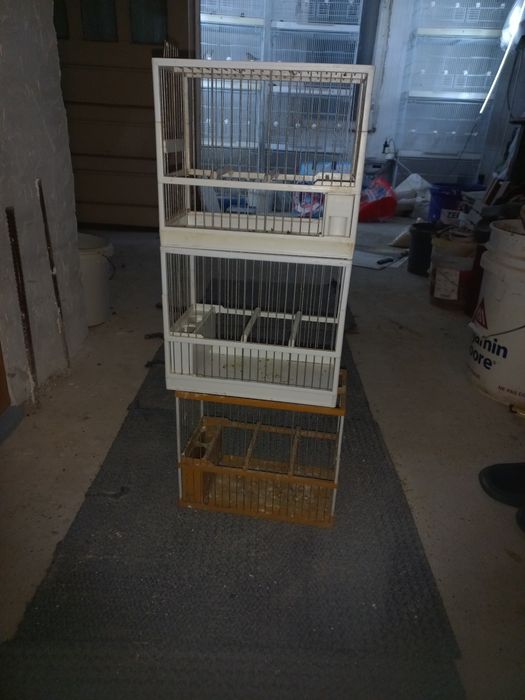 Colivii c2  de cântec