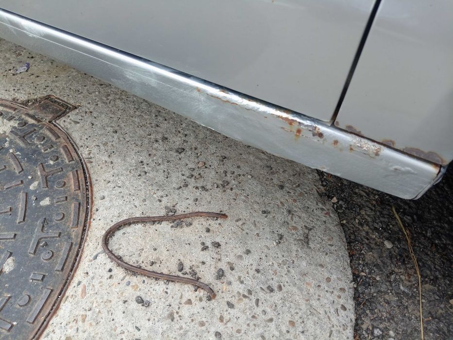 Vând Volkswagen polo din anul 2006 pe benzina cu doar 144319 km