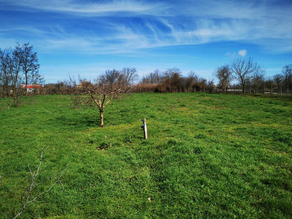Casa batraneasca cu teren