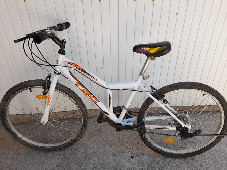 Trotineta electrica si bicicleta