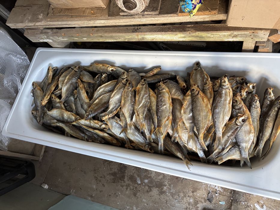 Продается отборный сушенный крупный рыбец!