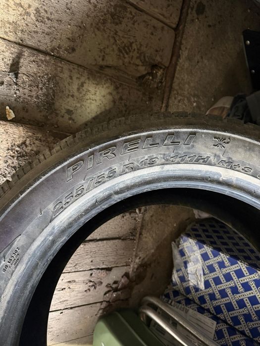 Продаю балон пирели