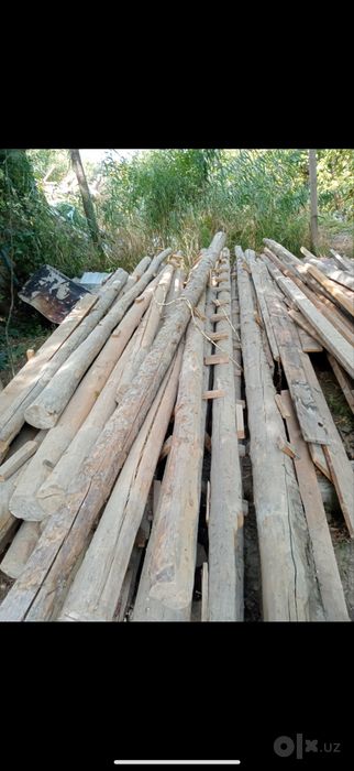 Taxta To’sin sotiladi