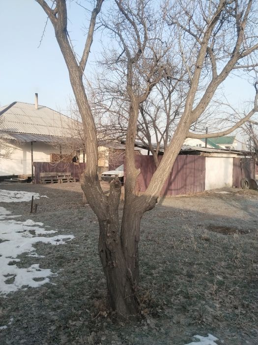 Продам Дом с Балтобай