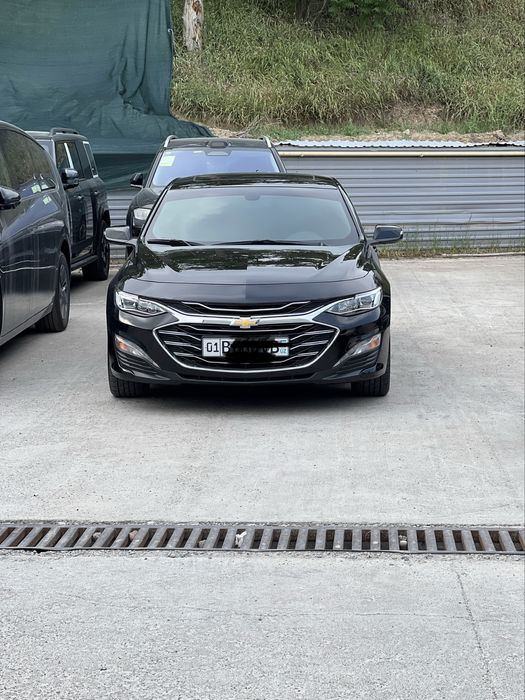 Malibu 2021 premier full