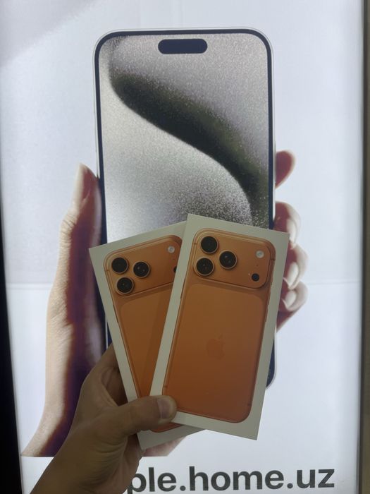 17 pro max 256 orange