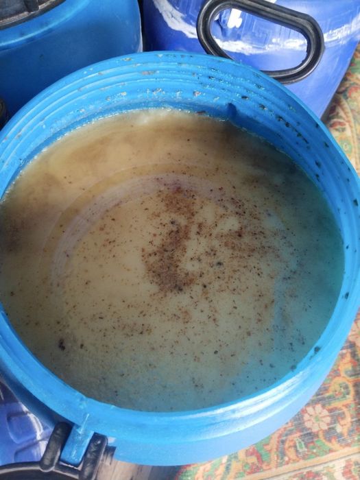 Toza asal bor optom  80 ming dan