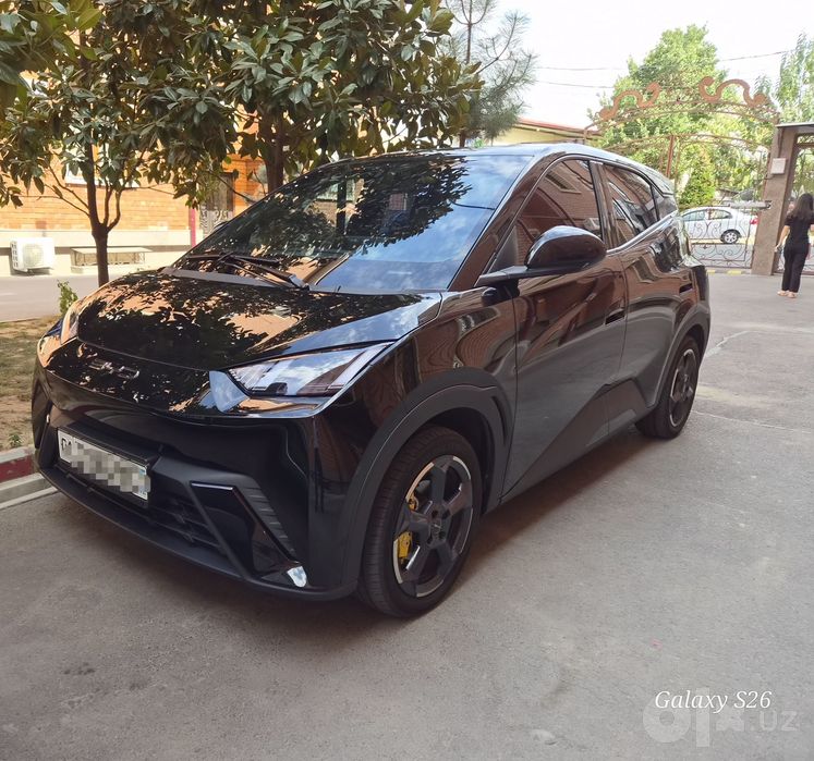 Byd seagull 2023 yil full 401