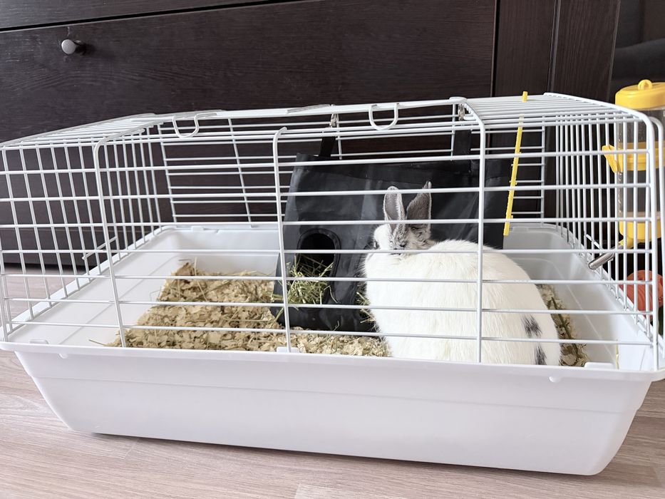 Продам клетку для небольших питомцев