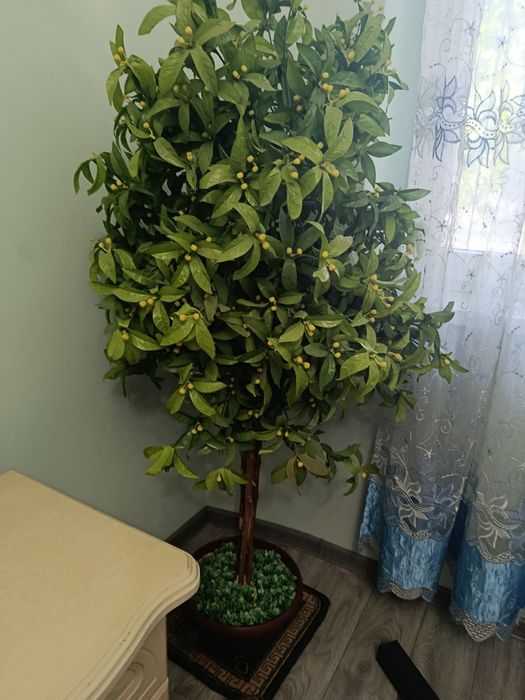 Продам искусственное дерево дикий лимон