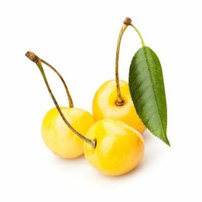 Мевали дарахтлар Кучат Нихол Дарахтча ШРЕДЕР