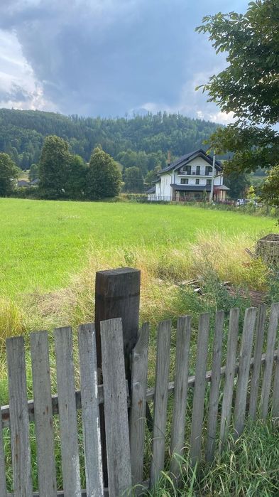 Teren Frasin 6000 m²