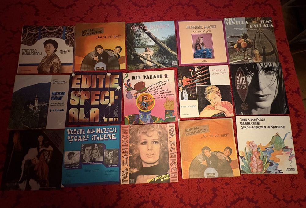 Discuri vinil de colectie