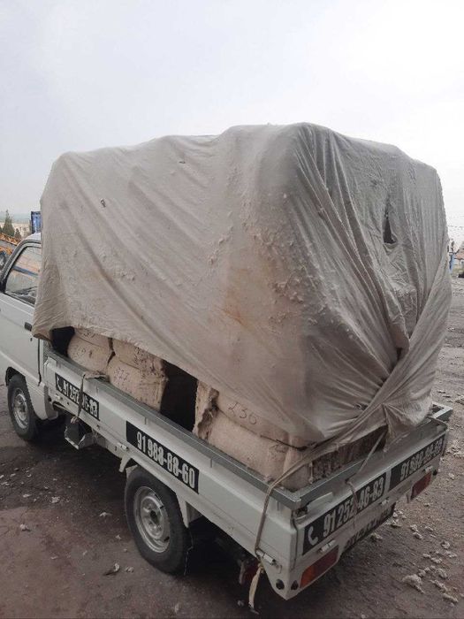 Йем той пахта шулха