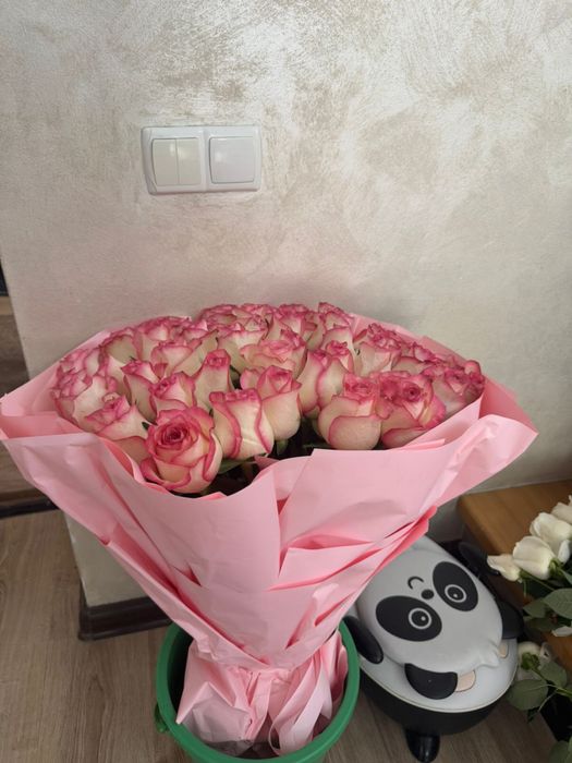 Розовые Свежие Розы