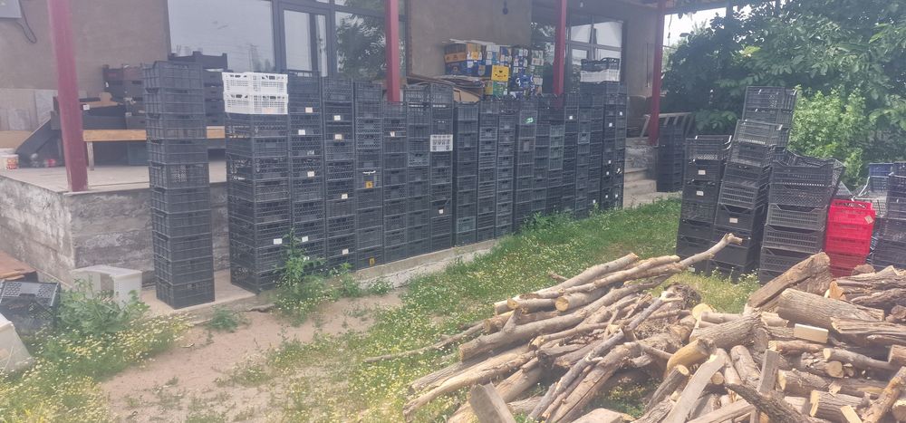 Продам ящики -  корзины.