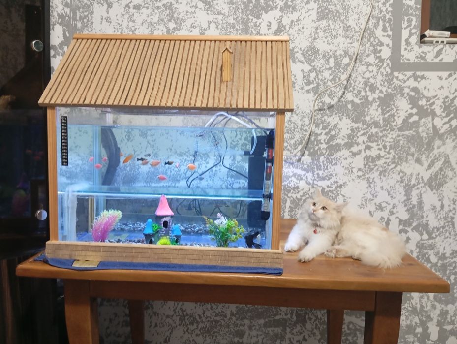 Аквариум 120 л размер узнлиги 60 см энига 40 см буйига 40 см