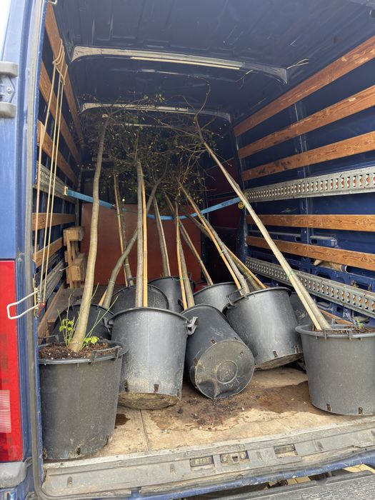 Транспортни и хамалски услуги с бус