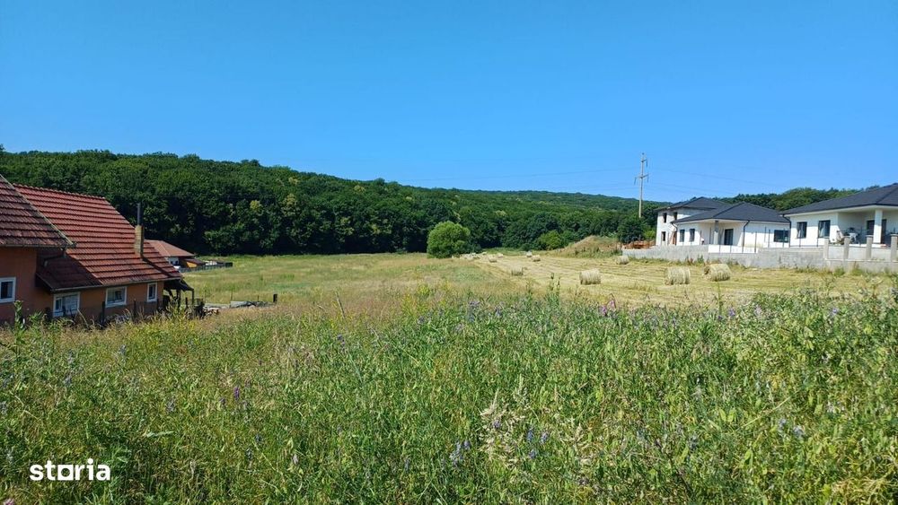 Teren intravilan - Corunca