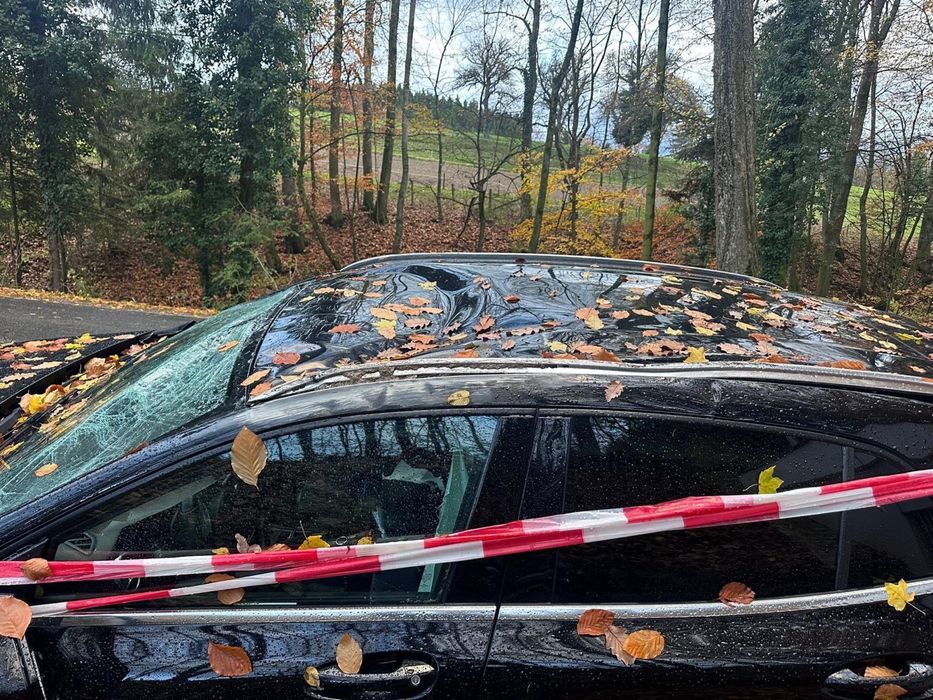 Piese mercedes gla 2019 2,2 d euro 6