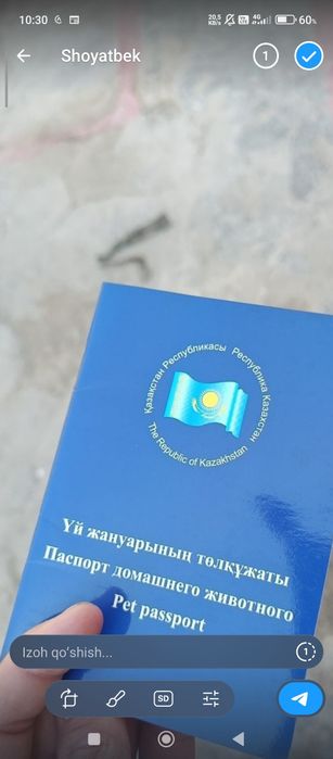 Пирвазное шиноклар тоззалари гарантия