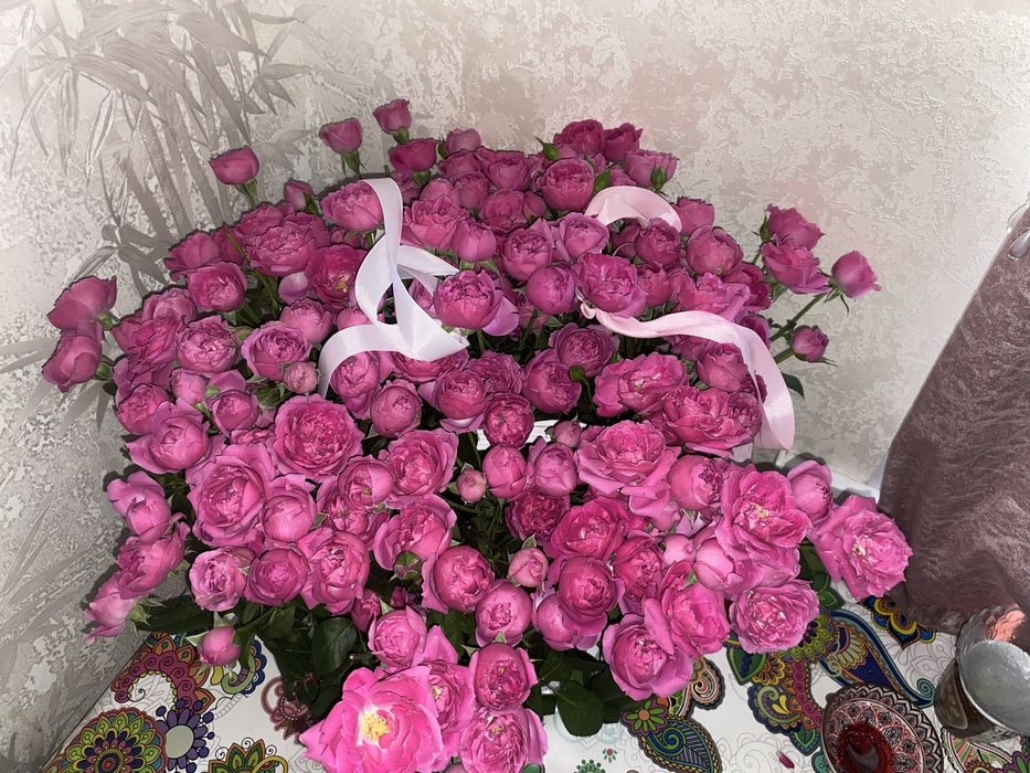 Цветы сегодняшние