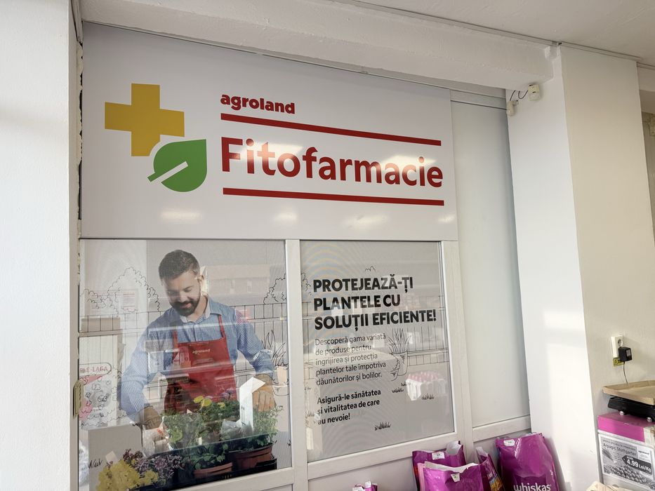 Inscriptionare auto vitrine geamuri materiale publicitare