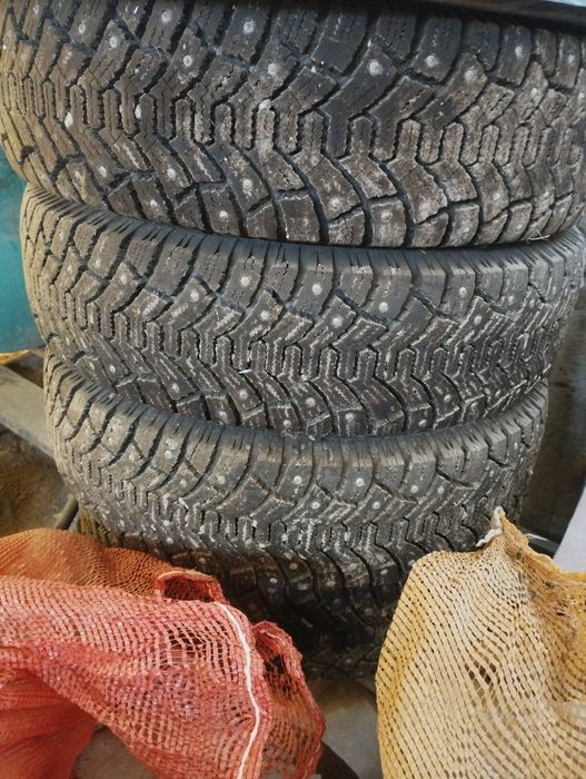 Зимняя резина. Шины шипованные